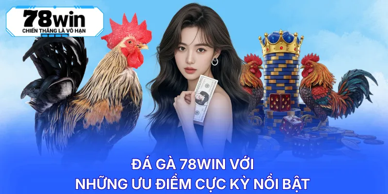 Đá gà 78WIN với những ưu điểm cực kỳ nổi bật