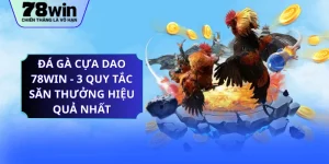 Đá Gà Cựa Dao