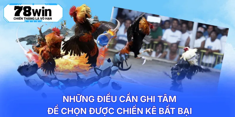 Những điều cần ghi tâm để chọn được chiến kê bất bại