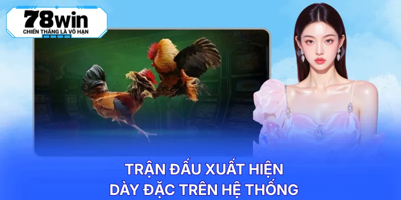 Trận đấu xuất hiện dày đặc trên hệ thống